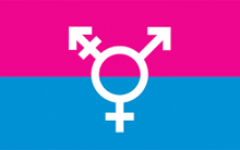 Transgender by Michelle Lindsay.jpg