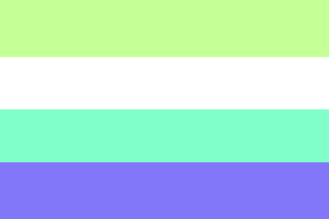 File:Unlabeled gender flag.png