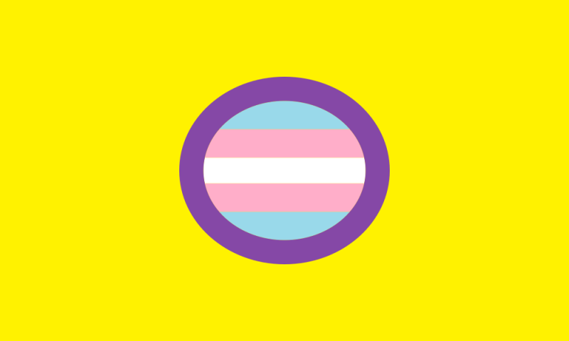File:Trans-intersex-flag-large.png