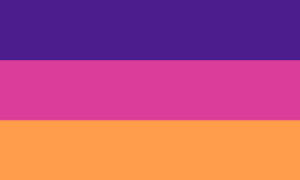 Lesbian flag by Neighborhood Lesbian.svg