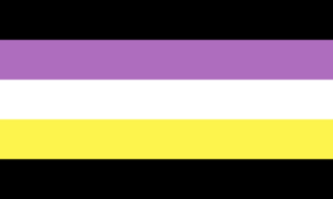 Anonbinary flag.png