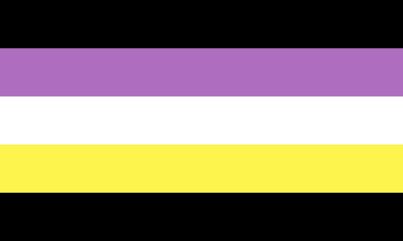 File:Anonbinary flag.png