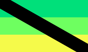 A variation of aporagender flag