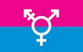 A transgender flag created by Michelle Lindsay, and used for some events in the the Ottawa-Gatineau region of Canada since 2010.[6]