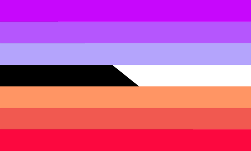 File:Ngares Pride Flag.png