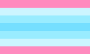 Transmasculine flag.svg