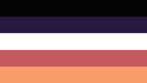 Cogender/Cofluid flag concept with 5 stripes, from top to the bottom the colors are black, dark purple, white, dark pink, and tan. In that order they represent lack of gender, genders outside the binary, union of 2+ gender identities, genders outside the binary, and gender fluidity