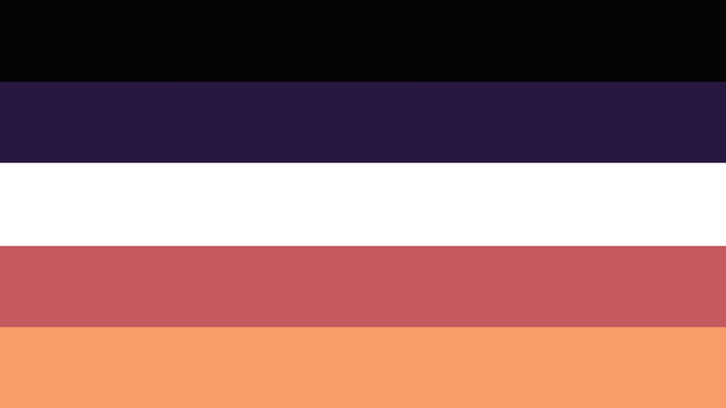 File:Cogender-Cofluid flag concept.png
