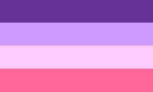 Femme flag - Rebecca Bettencourt.jpg