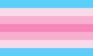 Transfeminine flag.svg
