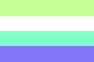 Unlabeled Gender flag