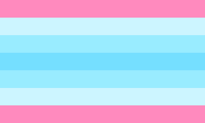 Transmasculine pride flag.png