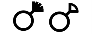 Sissy Gender Symbol PNG.png