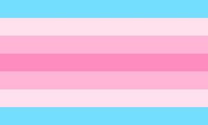 Transfeminine pride flag.png