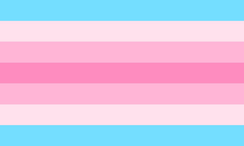 File:Transfeminine pride flag.png