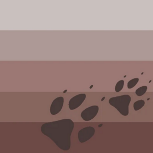 Wolfgender (Brown with pawprints).png