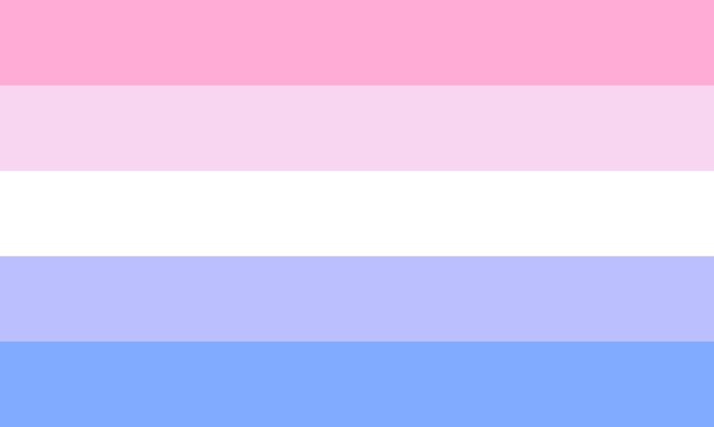 File:Polygender bisexual by nbgender.png