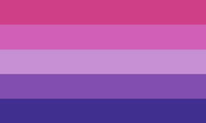 Nonbinary bisexual by spiritpride.png