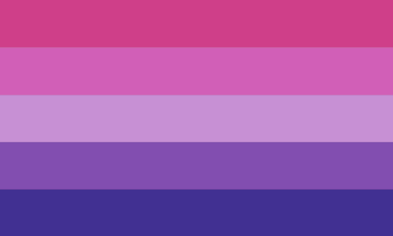 File:Nonbinary bisexual by spiritpride.png