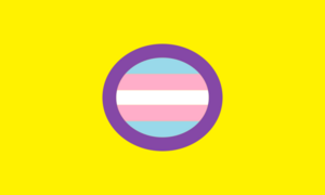 Trans-intersex-flag-large.png