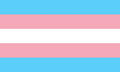 The transgender pride flag, designed by trans woman Monica Helms in 1999, with stripes representing male (blue), female (pink), and other or transitioning (white).