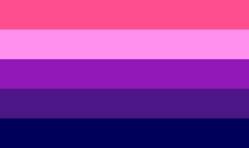 File:Nonbinary bisexual by nbgender.png