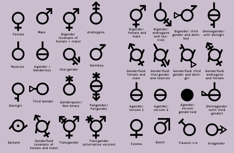 File:Gender symbols by cari rez lobo.jpg