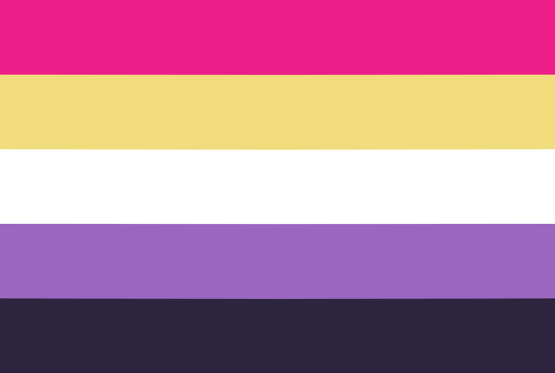 File:Nonbinary bisexual by wuvsbian.png