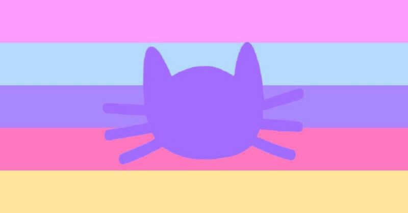 File:Gay catgender by SONYAlBO.jpg