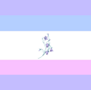 Сапфик флаг. Sapphic флаг. sapphic pride. sapphic flag.