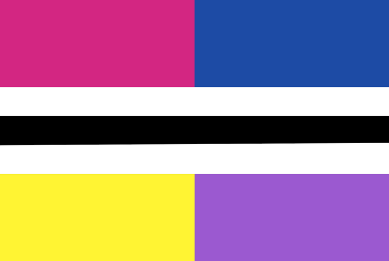 File:NB Bi Flag.png